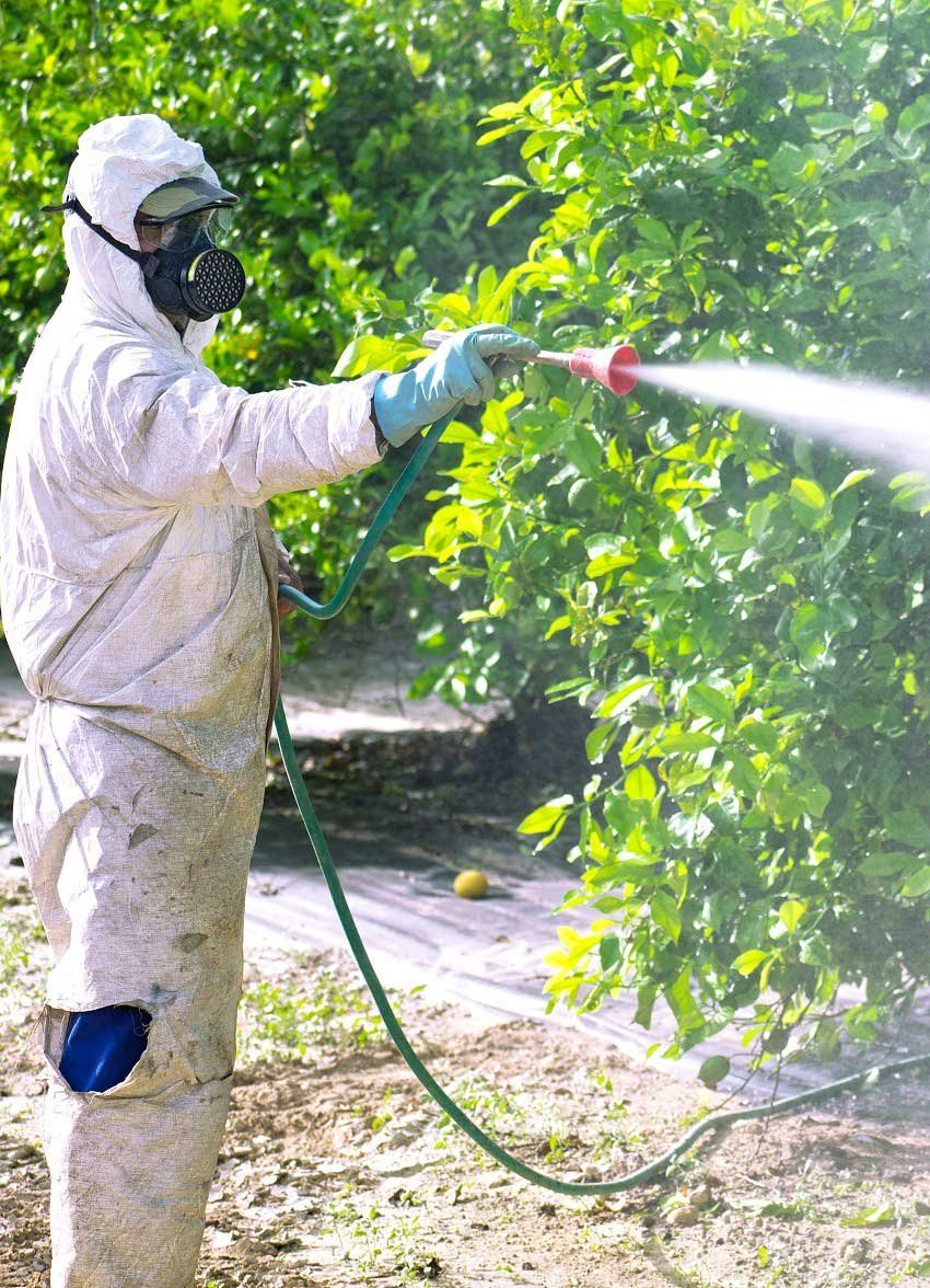 Traitement-phytosanitaire-jardin-Marrakech